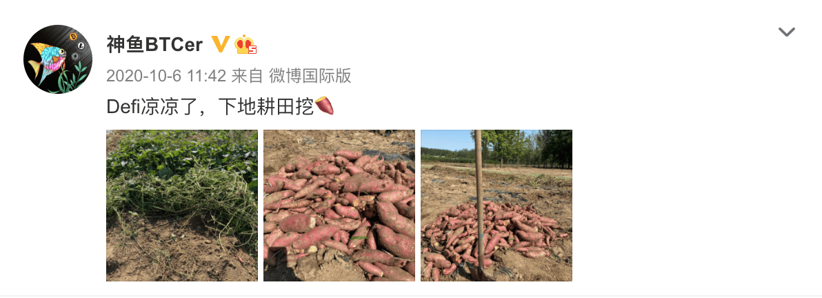 从传统矿工到DeFi农民,神鱼的「进化」之路