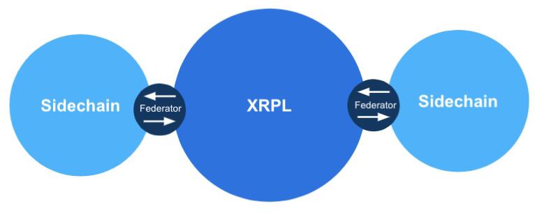 「古董级」公链拥抱DeFi,Ripple拟通过侧链支持智能合约