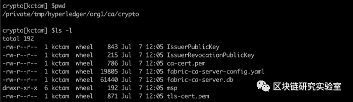 Hyperledger Fabric的CA操作指南-part1