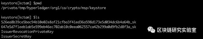 Hyperledger Fabric的CA操作指南-part1