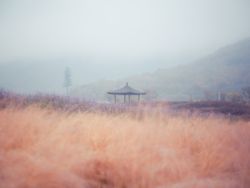 美股异动 | 维珍银河(SPCE.US)盘前涨超10%,“团结”号太空船完成首次满员太空试飞