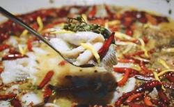 高盛:重申九毛九(09922)“买入”评级 旗下“太二酸菜鱼”同店销售增长复苏良好