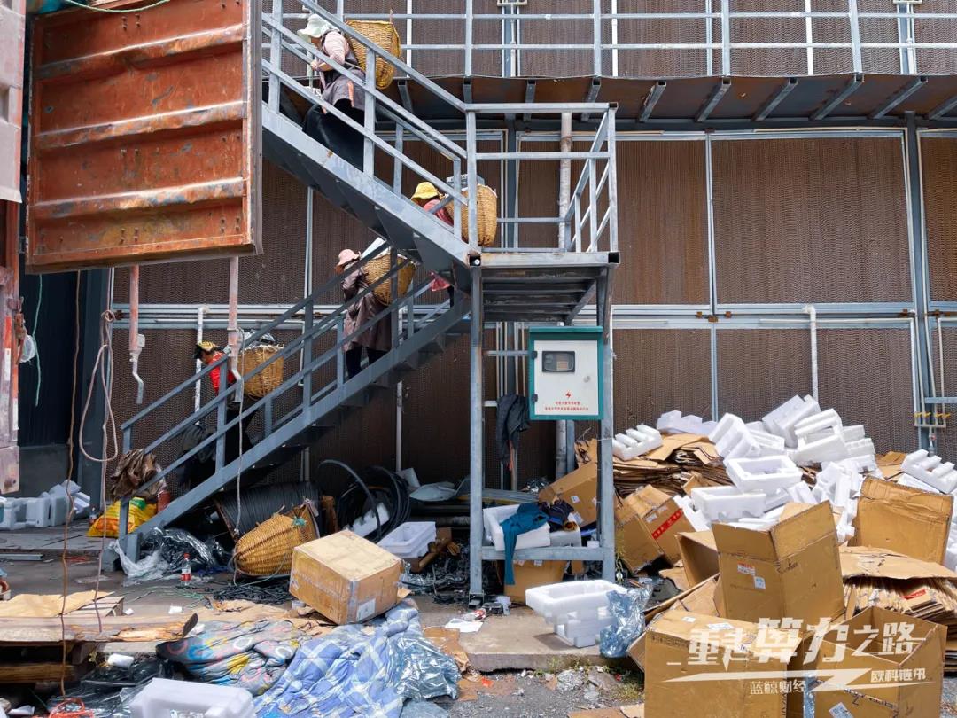 重走比特幣「算力之路」:實探內蒙鄂爾多斯、新疆準東及川西礦場眾生相