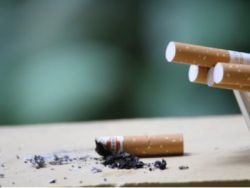 獲Vectura超過75%股東支持,菲利普莫里斯(PM.US)達成10億英鎊收購協議