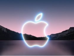 大型科技股盤前普跌,蘋果(AAPL.US)跌超1%