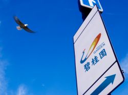 里昂:維持碧桂園服務(06098)“買入”評級 目標價升3.8%至99港元