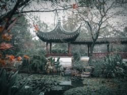 執行董事兼副主席董清波增持信義玻璃(00868)75萬股,每股作價21.60港元