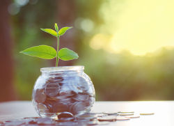中國海外發展(00688)授出合共713萬股股份期權