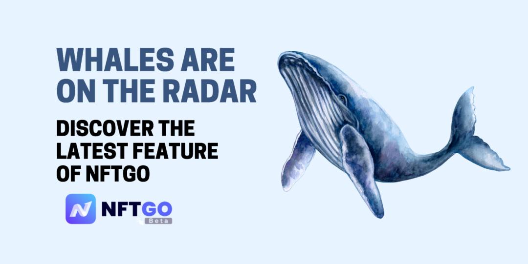 手把手教你如何用 NFTGO 新功能追蹤 NFT 巨鯨?