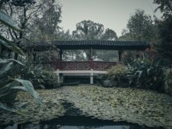 證監會:上海博動醫療科技股份有限公司境外首次公開發行股份申請已獲接收材料