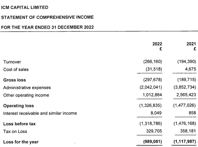 ICM-Capital-2022-income-statement.jpg ICM-Capital-2022-income-statement.jpg